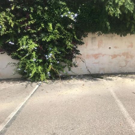 Studio 2 Adultes 2 Enfants Sanary Sur Mer A 800M De La Mer Bagian luar foto
