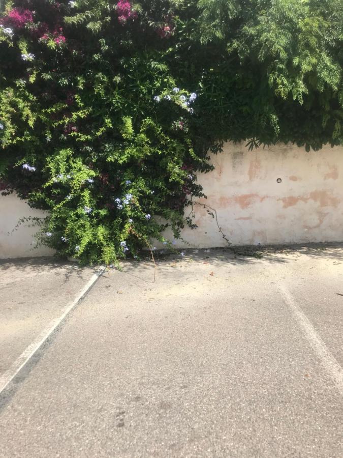 Studio 2 Adultes 2 Enfants Sanary Sur Mer A 800M De La Mer Bagian luar foto